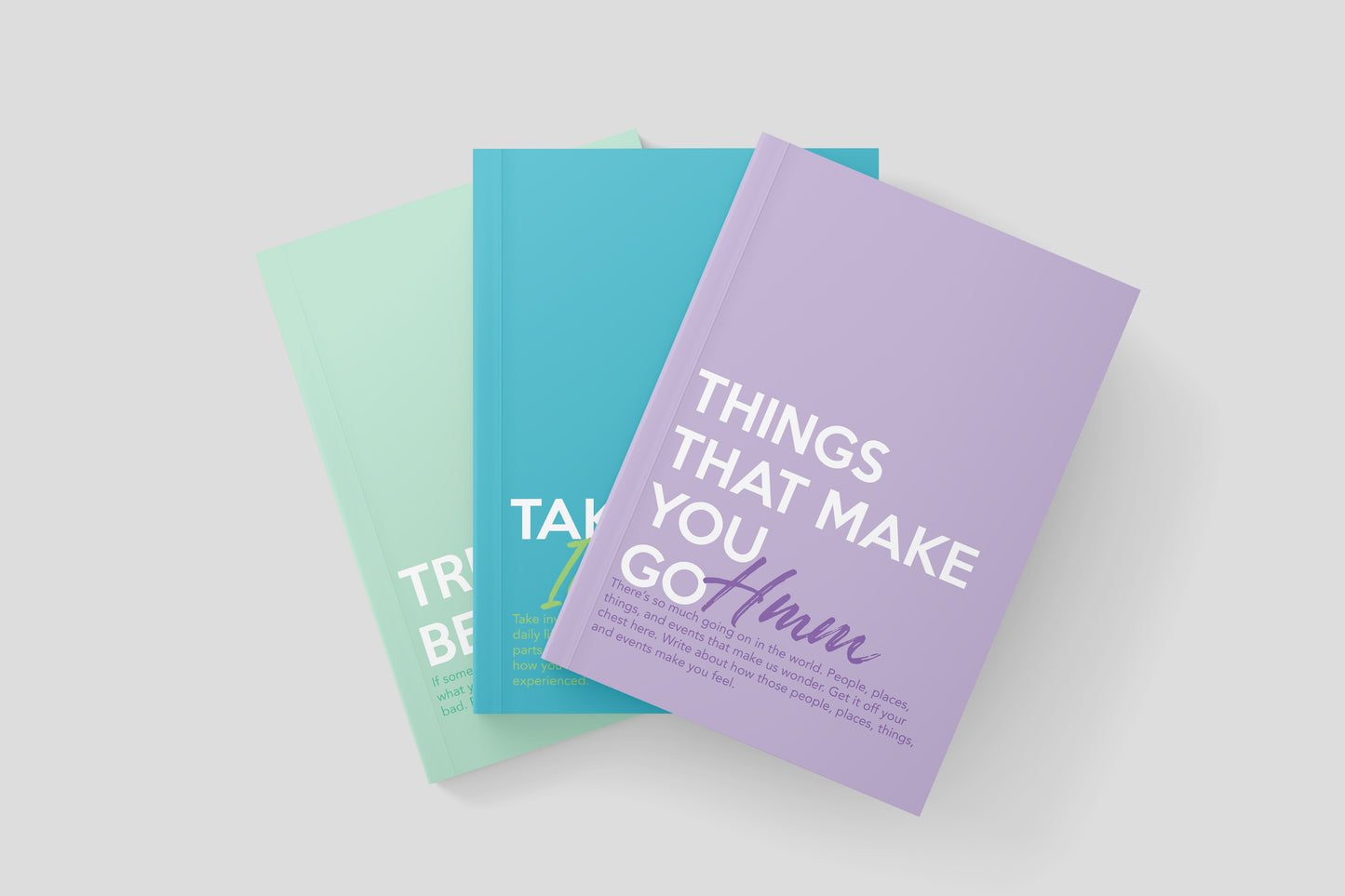 Journal Prompt Journal: Things That Make You Go Hmm