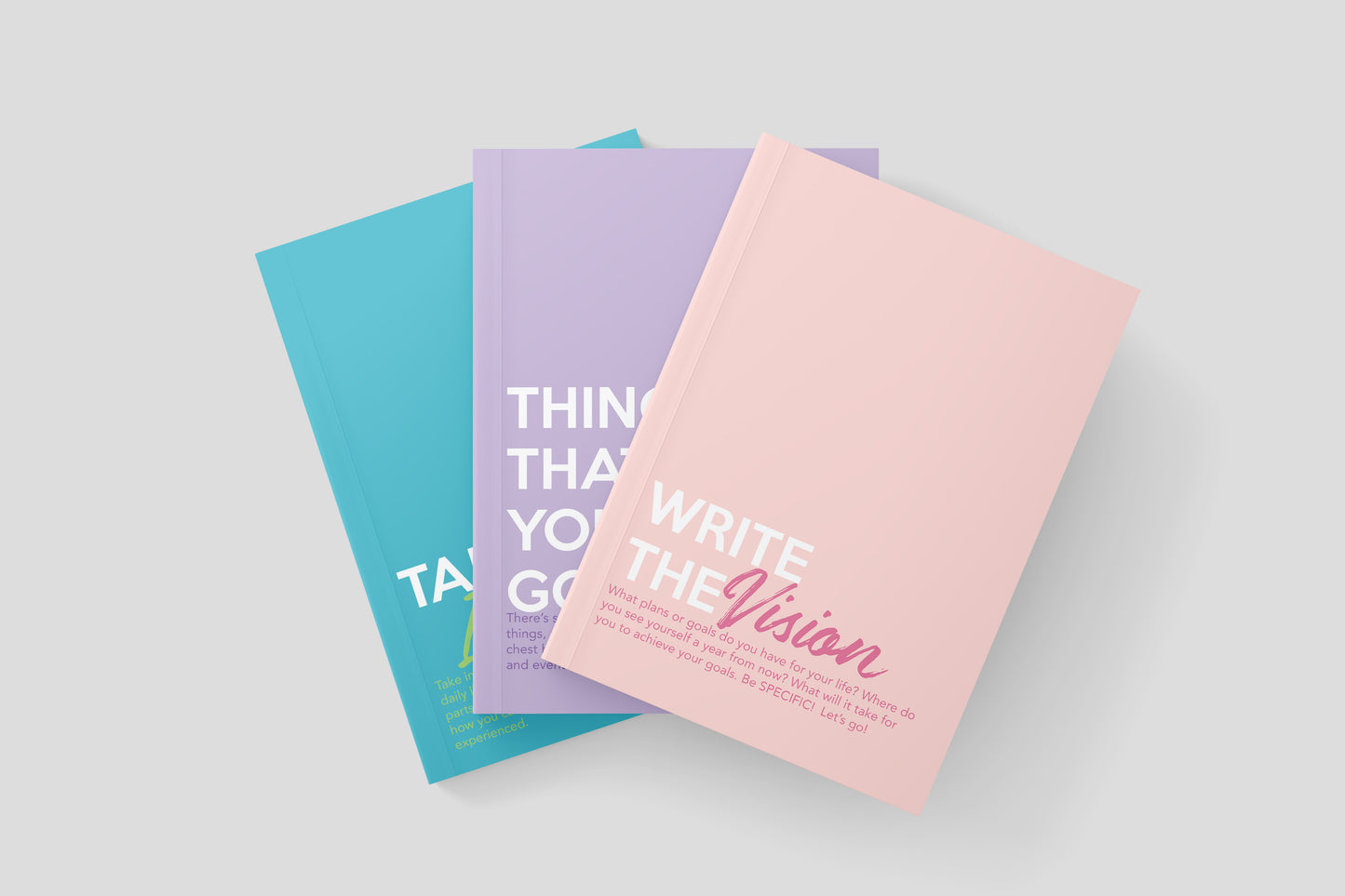 Journal Prompt Journals: Write The Vision